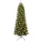 10ft. Pre-Lit Fraser Fir Artificial Christmas Tree, Color Select LED Lights